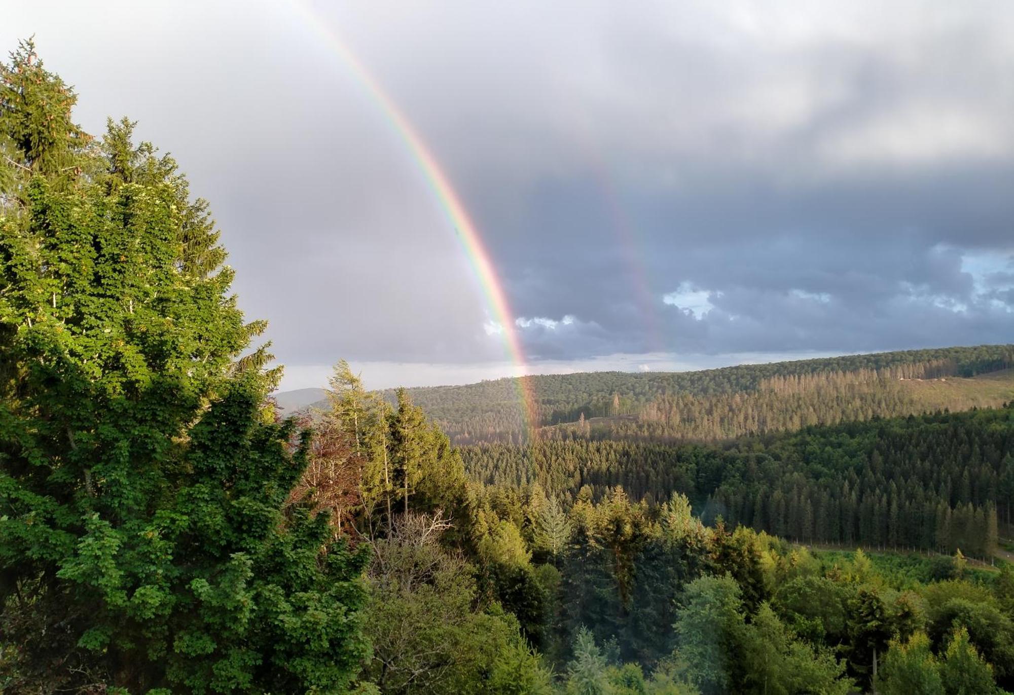 Fernsicht Hotel Winterberg